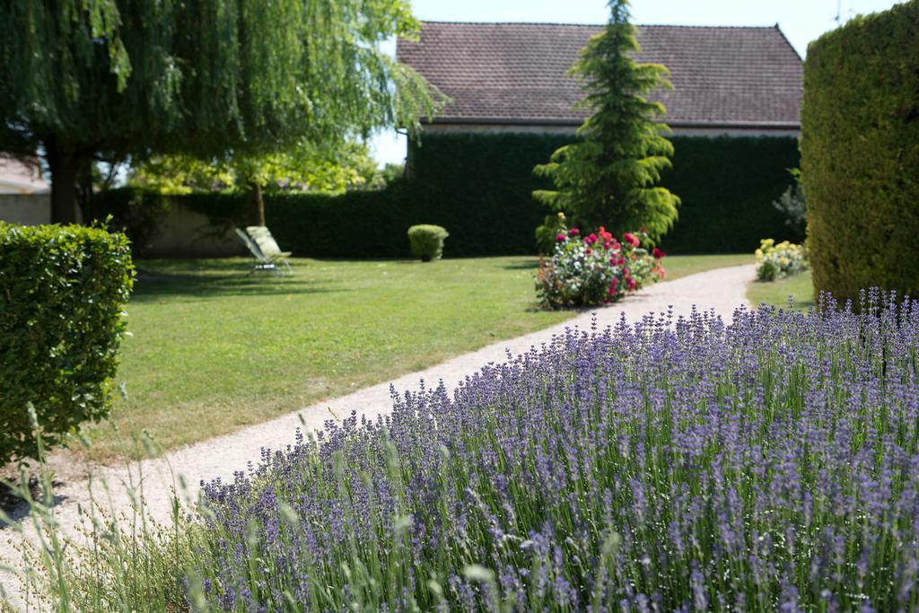 Hotel L'Oree Des Vignes Gilly-lès-Cîteaux Eksteriør billede