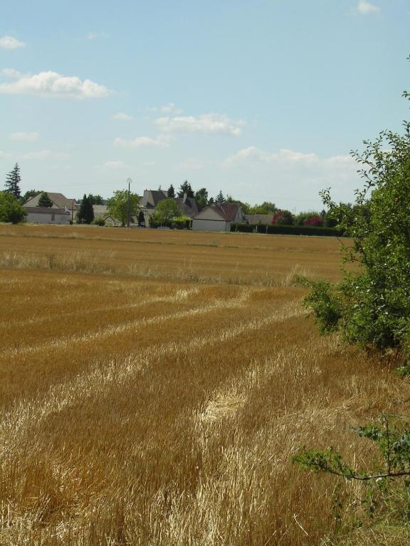Hotel L'Oree Des Vignes Gilly-lès-Cîteaux Eksteriør billede