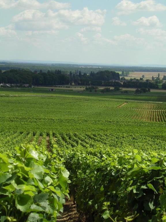 Hotel L'Oree Des Vignes Gilly-lès-Cîteaux Eksteriør billede